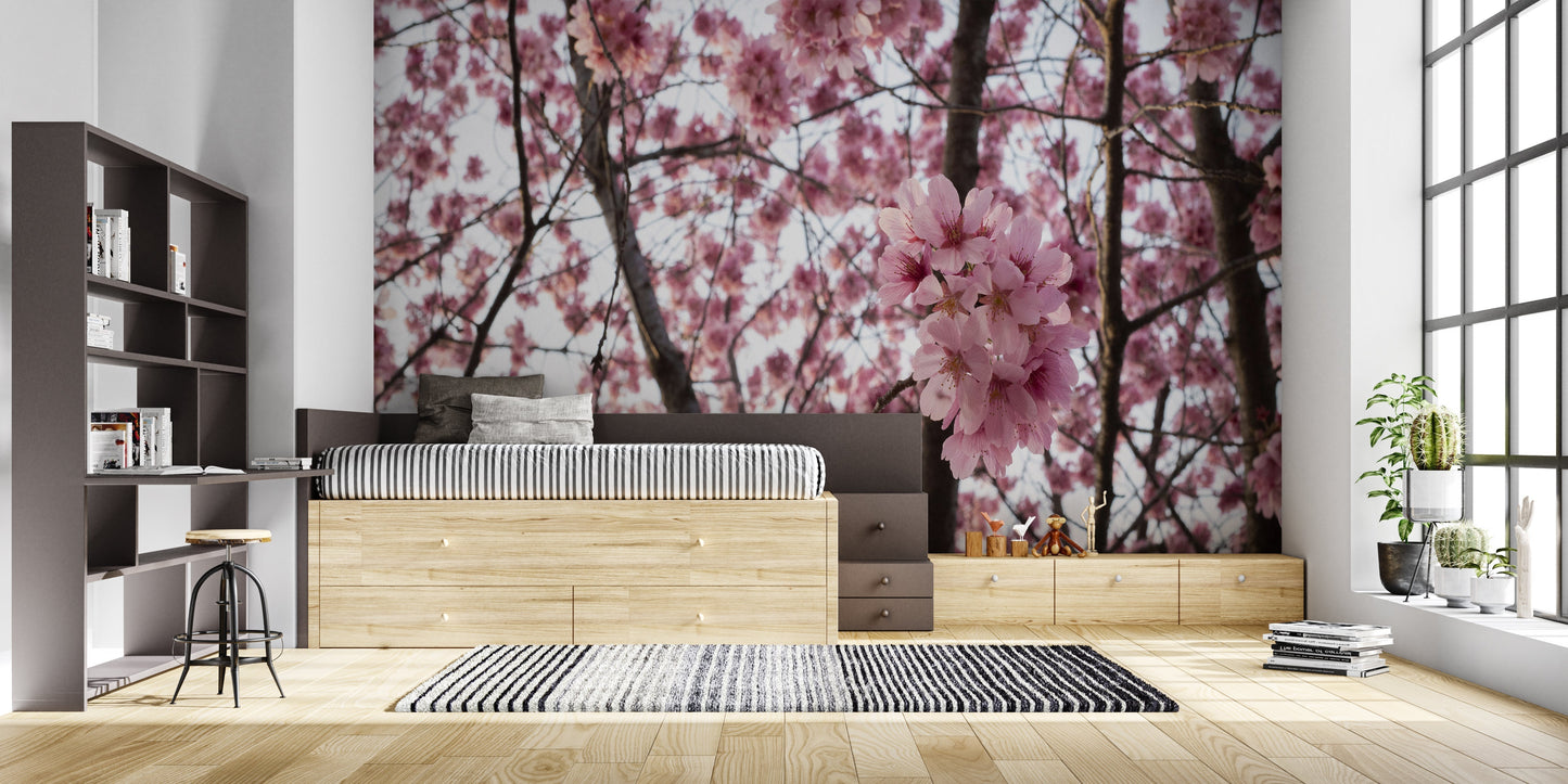 Papier Peint Japonais Cerisier en Fleurs Sakura Rose Example de Design 1