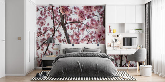 Papier Peint Japonais Cerisier en Fleurs Sakura Rose Autocollant