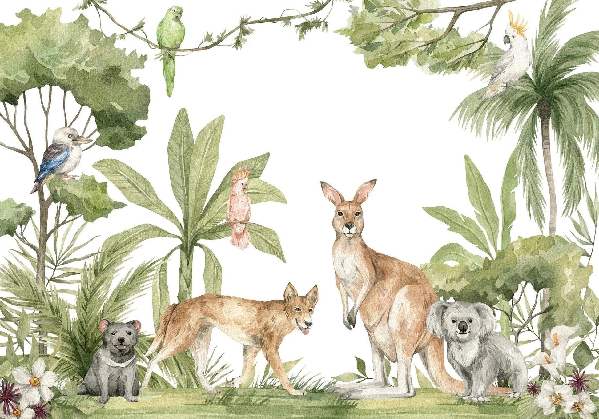 Papier Peint Animaux Australie Kangourous et Koalas en Aquarelle