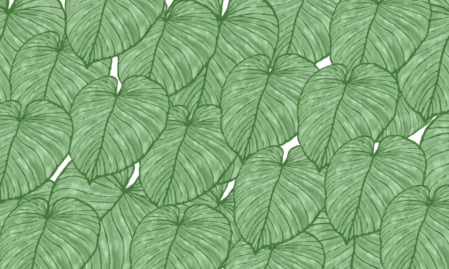 Papier Peint Monstera Feuilles Tropicales XXL en Vert Nature