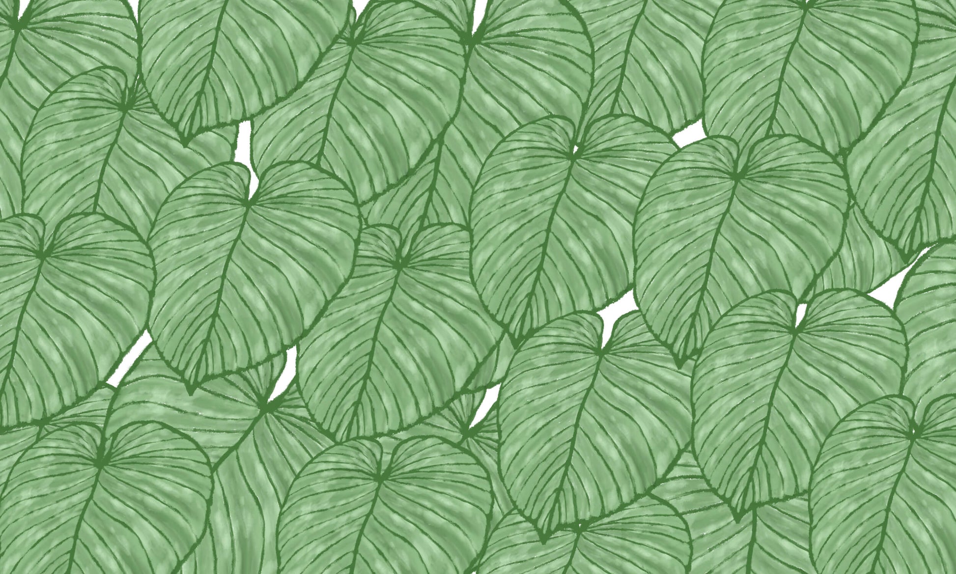 Papier Peint Monstera Feuilles Tropicales XXL en Vert Nature