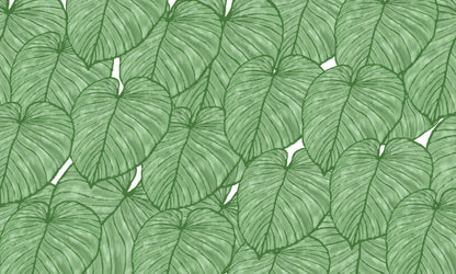 Papier Peint Monstera Feuilles Tropicales XXL en Vert Nature