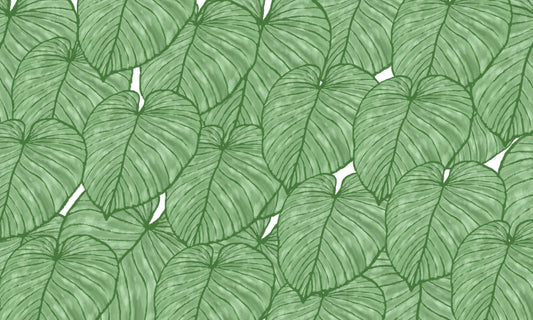 Papier Peint Monstera Feuilles Tropicales XXL en Vert Nature